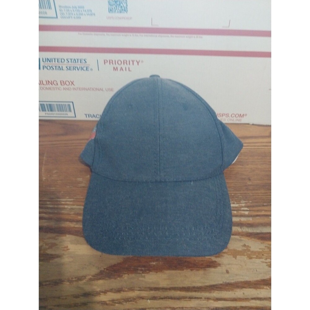 blue snapback hat With Llamas